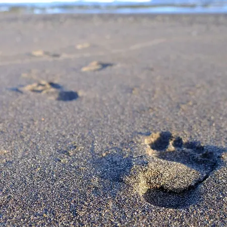 La Perla: Sea View And Pool アパート