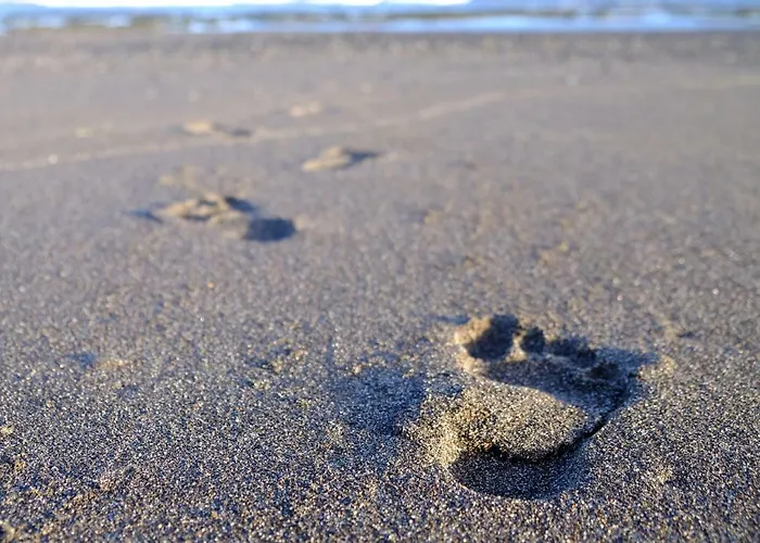 La Perla: Sea View And Pool Apartament